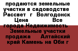 продаются земельные участки в садоводстве “Рассвет“ г. Волгодонск › Цена ­ 80 000 - Все города Недвижимость » Земельные участки продажа   . Алтайский край,Камень-на-Оби г.